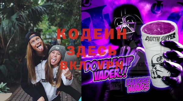 дмт Вяземский